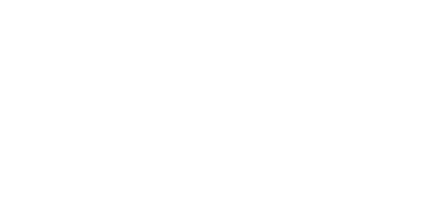 burntz logo white